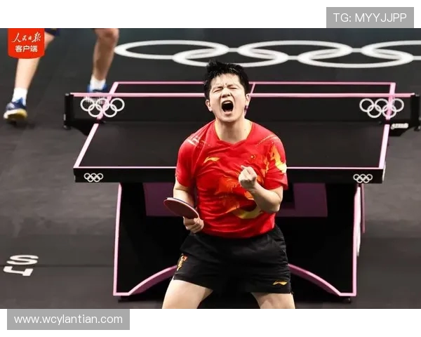 乒乓球个人能力排行榜揭晓杭州乒乓球队荣登第一名之巅