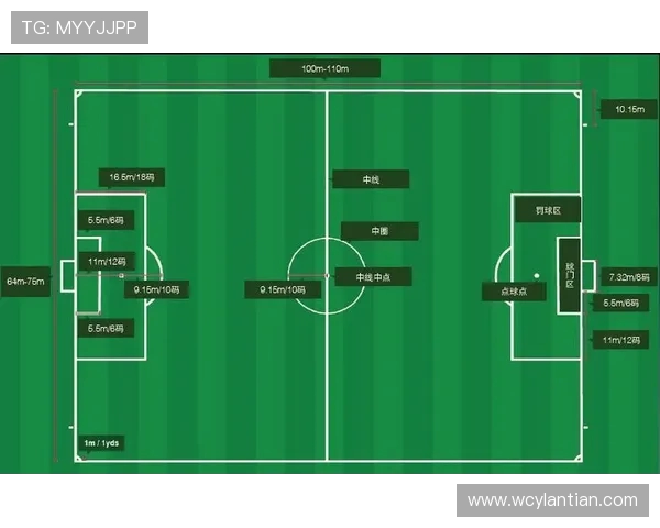 南京足球队运营策略深度分析与市场发展前景探讨